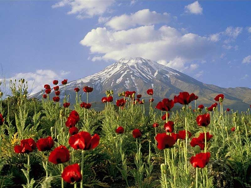 گردشگری طبیعت گردی